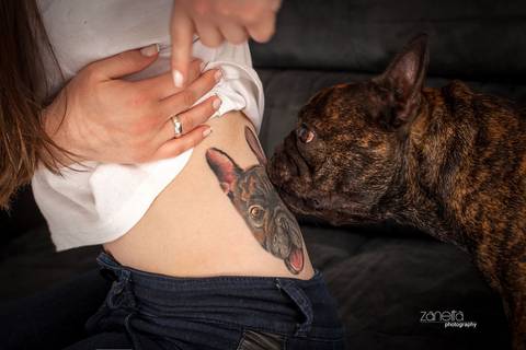 ensaio pet- cães-gatos-fotos de cachorros- Fotografo Pet'