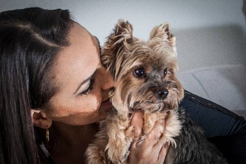 ensaio pet- cães-gatos-fotos de cachorros- Fotografo Pet'