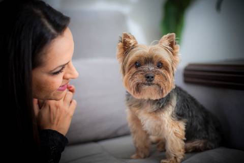 ensaio pet- cães-gatos-fotos de cachorros- Fotografo Pet'
