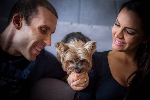 ensaio pet- cães-gatos-fotos de cachorros- Fotografo Pet'