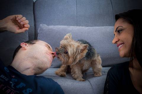 ensaio pet- cães-gatos-fotos de cachorros- Fotografo Pet'