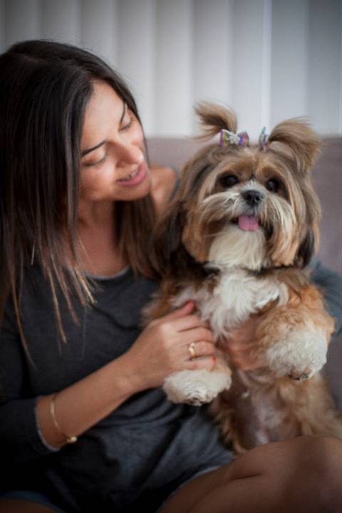 ensaio pet- cães-gatos-fotos de cachorros- Fotografo Pet'