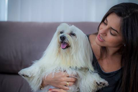 ensaio pet- cães-gatos-fotos de cachorros- Fotografo Pet'