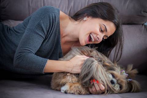 ensaio pet- cães-gatos-fotos de cachorros- Fotografo Pet'