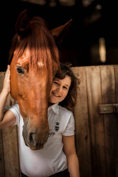 ensaio pet- cães-gatos-fotos de cachorros- Fotografo Pet'