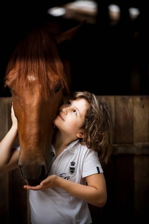 ensaio pet- cães-gatos-fotos de cachorros- Fotografo Pet'