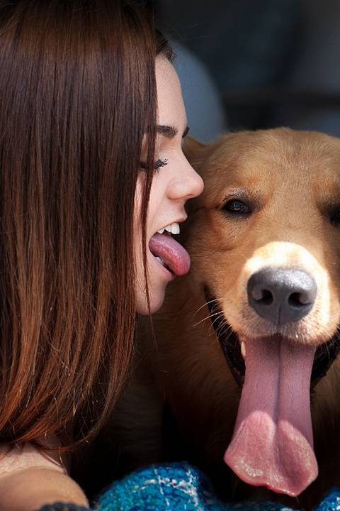 ensaio pet- cães-gatos-fotos de cachorros- Fotografo Pet'