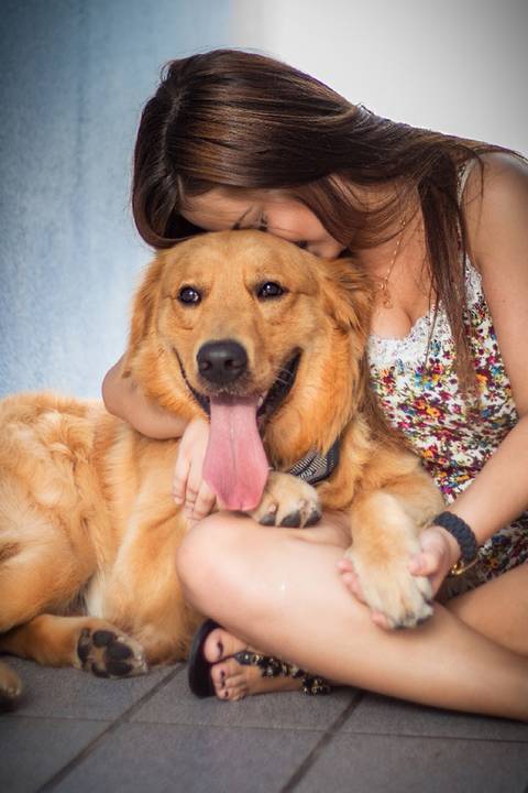 ensaio pet- cães-gatos-fotos de cachorros- Fotografo Pet'