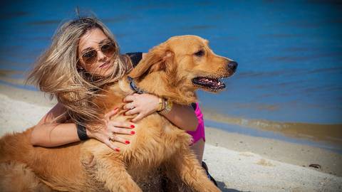 ensaio pet- cães-gatos-fotos de cachorros- Fotografo Pet'