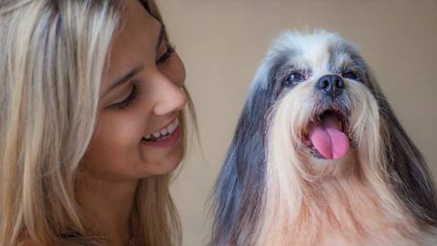 ensaio pet- cães-gatos-fotos de cachorros- Fotografo Pet'