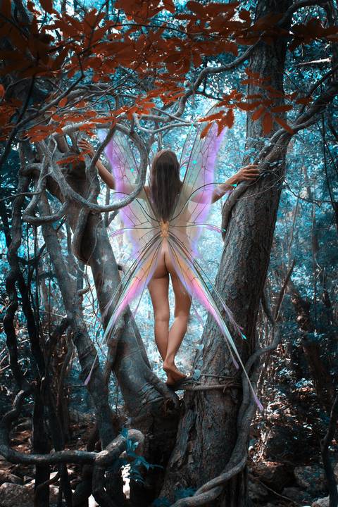 Fada. Mundo mágico e de sonhos. Nossas fadas nosso imaginário.
Fada nua...vestida de vida.'