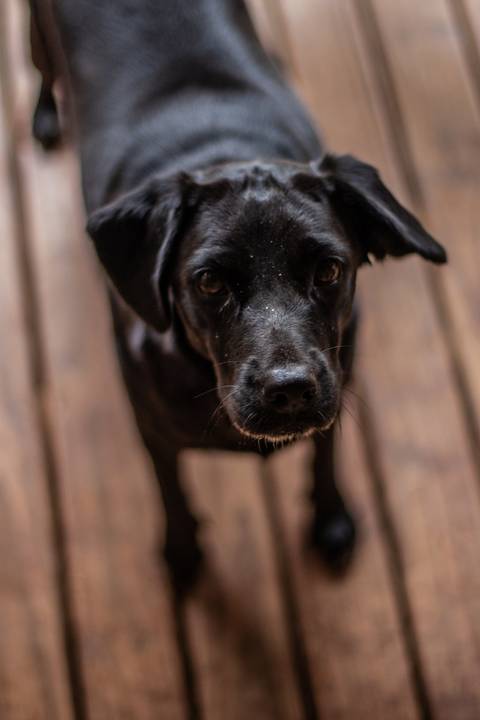 Fotografia documental de família. Uma herança pra vida'