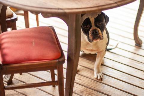 Fotografia documental de família. Uma herança pra vida'