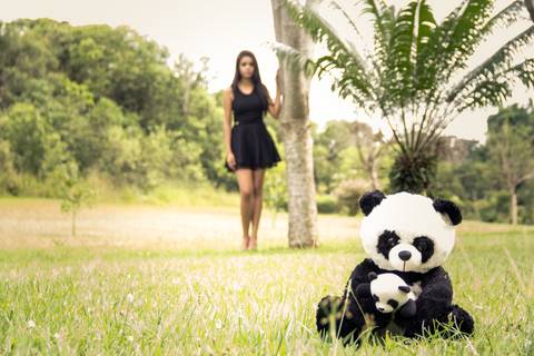 Book 15 anos Lorayne Viana '