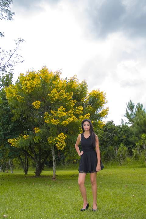 Book 15 anos Lorayne Viana '
