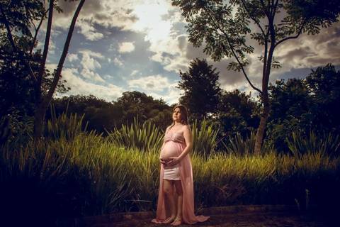 book-gestante-ana-paula-harmonia-telemaco-borba-pr'