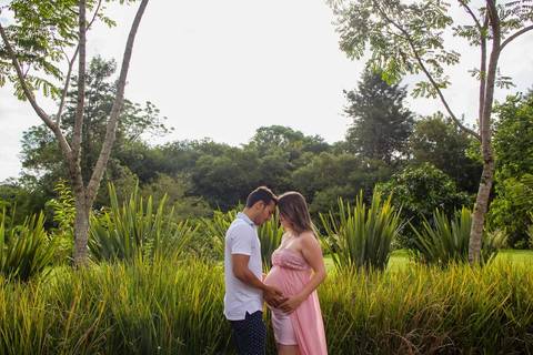 book-gestante-ana-paula-harmonia-telemaco-borba-pr'