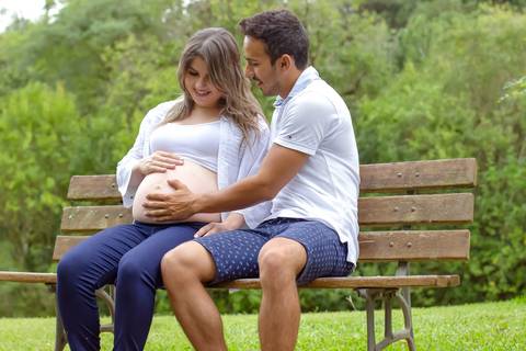 book-gestante-ana-paula-harmonia-telemaco-borba-pr'