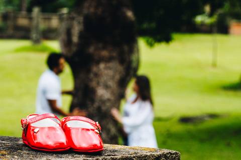 book-gestante-ana-paula-harmonia-telemaco-borba-pr'