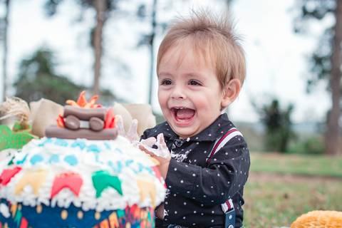 smach-and-cake-joa-telemaco-borba-pr'