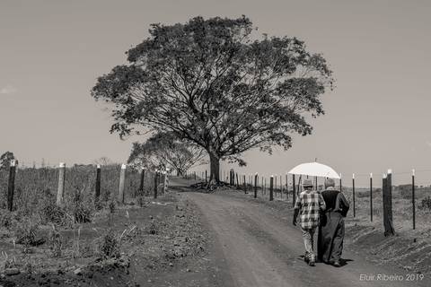 www.eluirribeiro.com.br'
