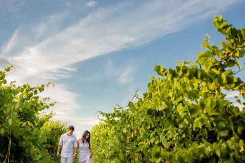 melhores fotografias de 2018'
