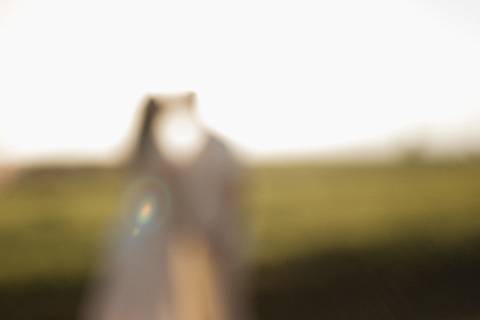 '
