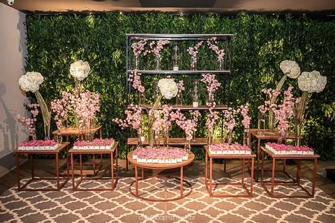 Decoração Conceito único'