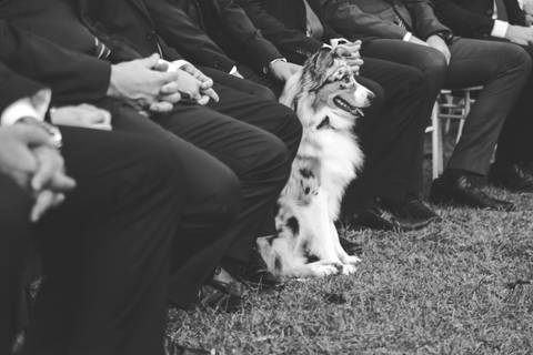 fotos-de-casamento-fotos-noiva-making-of-porto-alegre-casal-noiva-noivo-fotos-fotografia-fotógrafo-porto-alegre-wedding-porto-alegre-fotografo-profissional-vestido-de-noiva-penteado-noiva-casamento'