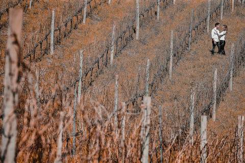 pré wedding - ensaio de pré wedding - fotos de casal - fotos em bento gonçalves - fotos românticas  '