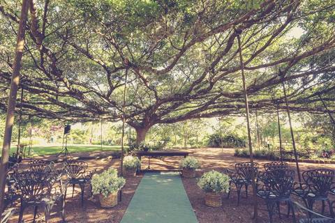 Fotógrafo de casamento em Porto Alegre - fotografo de casamento - melhor fotografo de casamento - vinícola laurentia – casamento lindo – casamento na fazenda – casamento de dia – casamento ao por do sol – por do sol lindo – melhores casamento de dia '