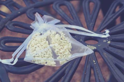 Fotógrafo de casamento em Porto Alegre - fotografo de casamento - melhor fotografo de casamento - vinícola laurentia – casamento lindo – casamento na fazenda – casamento de dia – casamento ao por do sol – por do sol lindo – melhores casamento de dia '