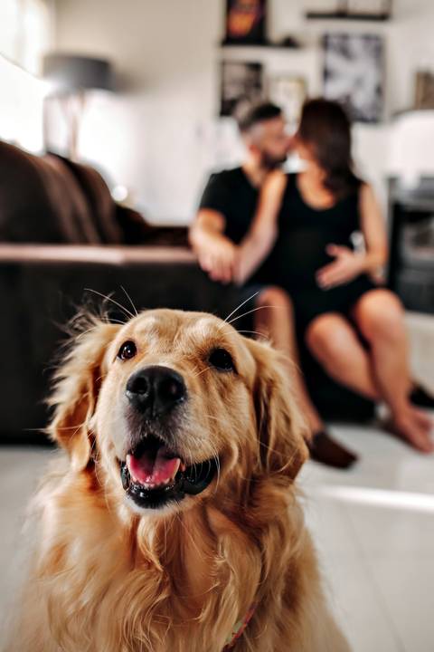 ensaio de gestante – book de gestante – fotografo de gestante – book de gestante na natureza – gestante no por sol – praça linda de porto alegre – lindas fotos de gestante com por do sol – Fábio Martins fotografo de gestante – gestante em casa '