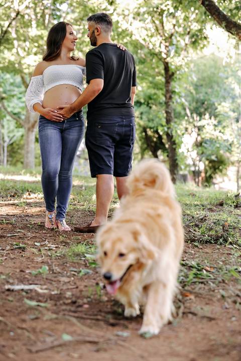 ensaio de gestante – book de gestante – fotografo de gestante – book de gestante na natureza – gestante no por sol – praça linda de porto alegre – lindas fotos de gestante com por do sol – Fábio Martins fotografo de gestante – gestante em casa '