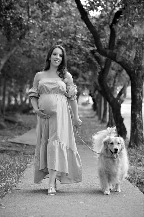 ensaio de gestante – book de gestante – fotografo de gestante – book de gestante na natureza – gestante no por sol – praça linda de porto alegre – lindas fotos de gestante com por do sol – Fábio Martins fotografo de gestante – gestante em casa '