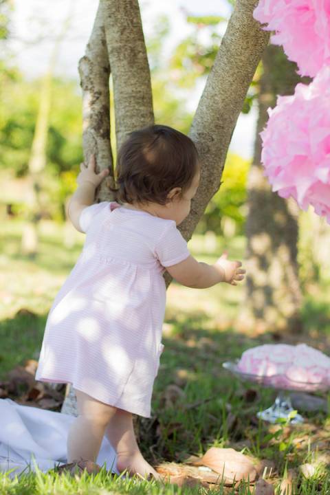 ensaio bebê smash the cake família fotografia'