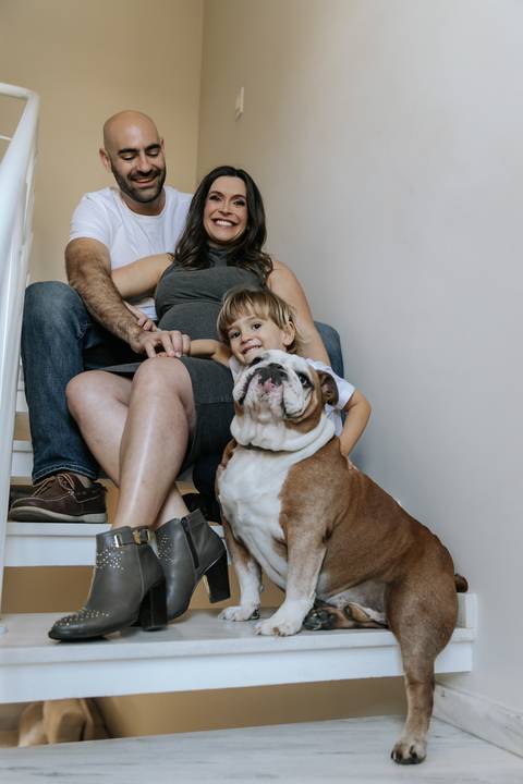 fotografia gestante com pet'