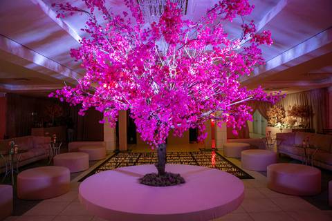 Fotógrafo 15th - Christian Kotoman - Alvi Rubro - Cachoeirinha-RS'