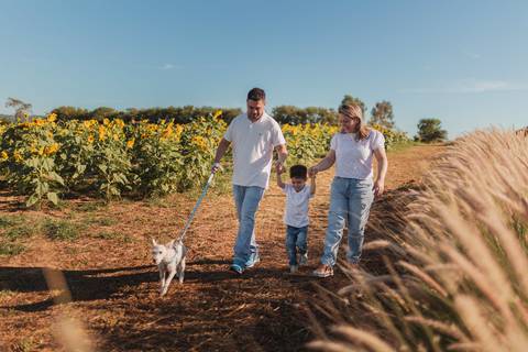 Ensaio de família no campo de girassóis fotógrafa Indaiatuba'