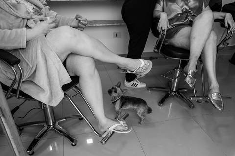 Making Of casamento Melissa e Flávia no Espaço Quinta dos Pinheiros- Serra da Cantareira- São Paulo-SP'