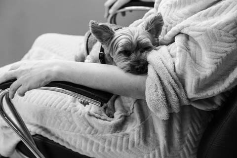 Making Of casamento Melissa e Flávia no Espaço Quinta dos Pinheiros- Serra da Cantareira- São Paulo-SP'