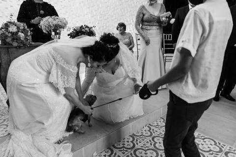Cerimônia de casamento da Melissa com a Flávia no Quinta dos Pinheiros- Serra da Cantareira - SP'