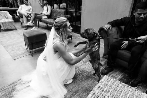 cerimônia de casamento da Beatriz com o Victor Sítio São Jorge - espaço Vdara, Casamento da Beatriz com o Victor no Sítio São Jorge em São Bernardo do Campo - SP '