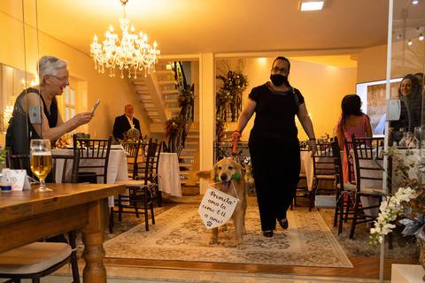 Casamento da Barbara com o Glauco em Santana de Parnaíba - SP'