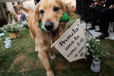 Casamento da Barbara com o Glauco em Santana de Parnaíba - SP'