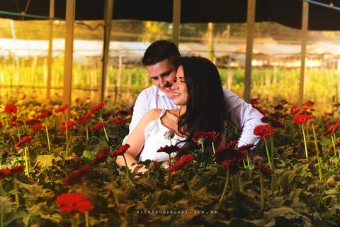 Holambra-fotos-pre-casamento-estufa-flores-carol-victor7'