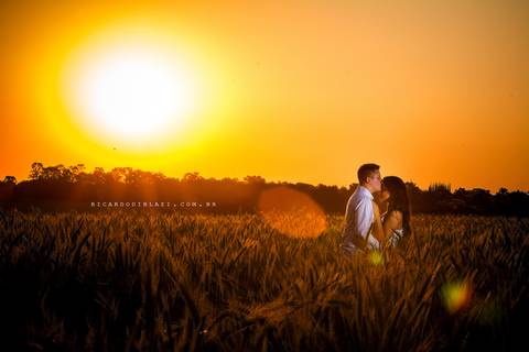 Holambra-fotos-pre-casamento-golden-hour-carol-victor3'