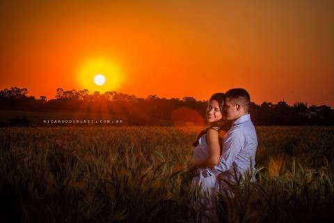Holambra-fotos-pre-casamento-golden-hour-carol-victor5'