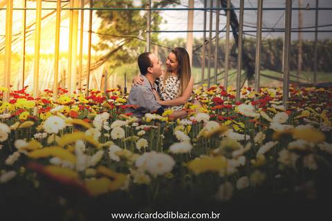 pre-wedding-casamento-holambra-santos17'