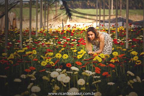 pre-wedding-casamento-holambra-santos18'